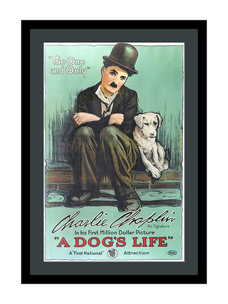 A Dogs Life Starring Charlie Chaplin Movie Poster 1918
